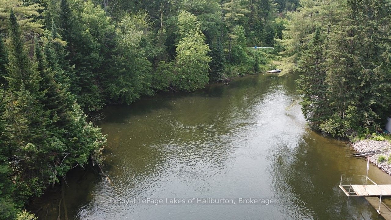 1019 Loyalist Drive Property Photo 14