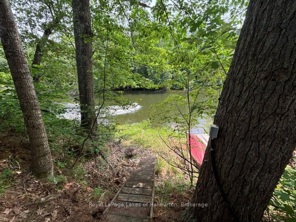 1019 Loyalist Drive Property Photo 18
