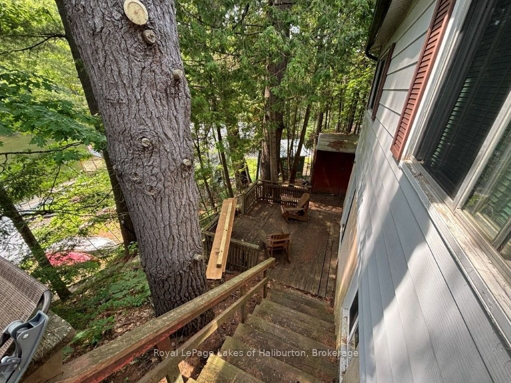1019 Loyalist Drive Property Photo 21