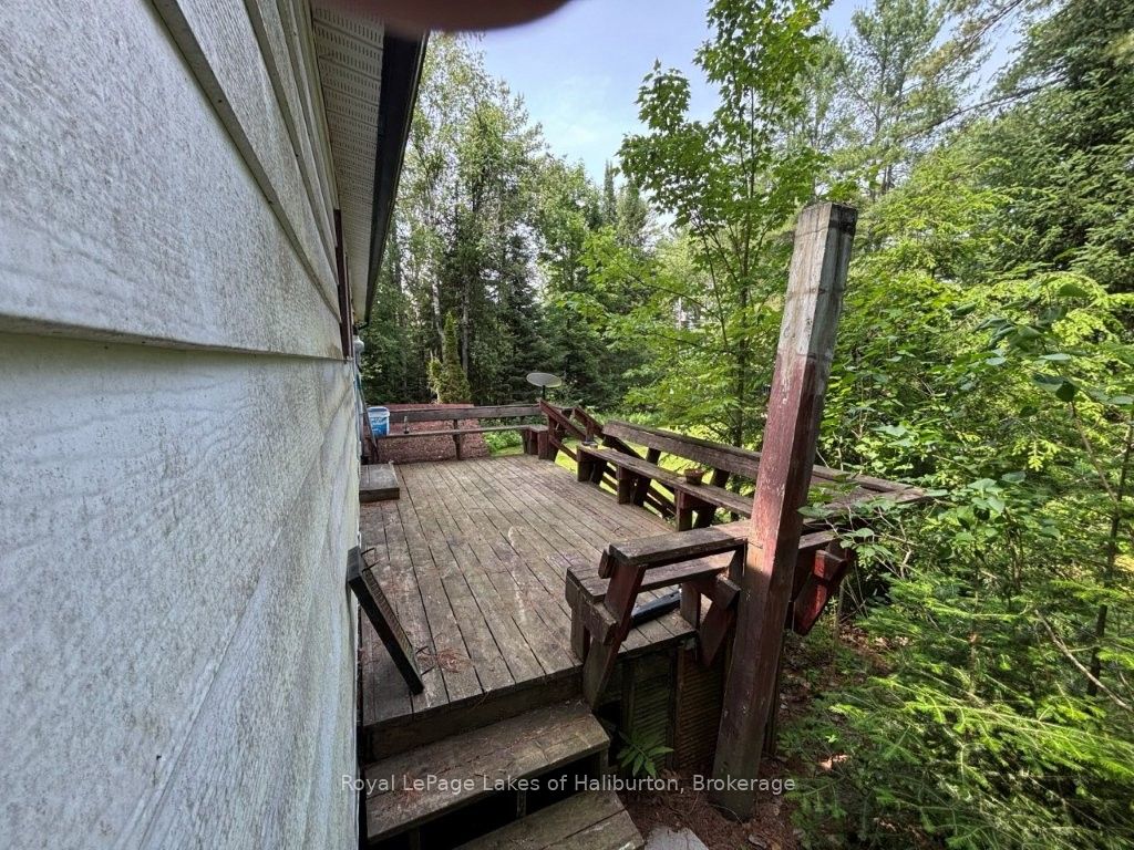 1019 Loyalist Drive Property Photo 23