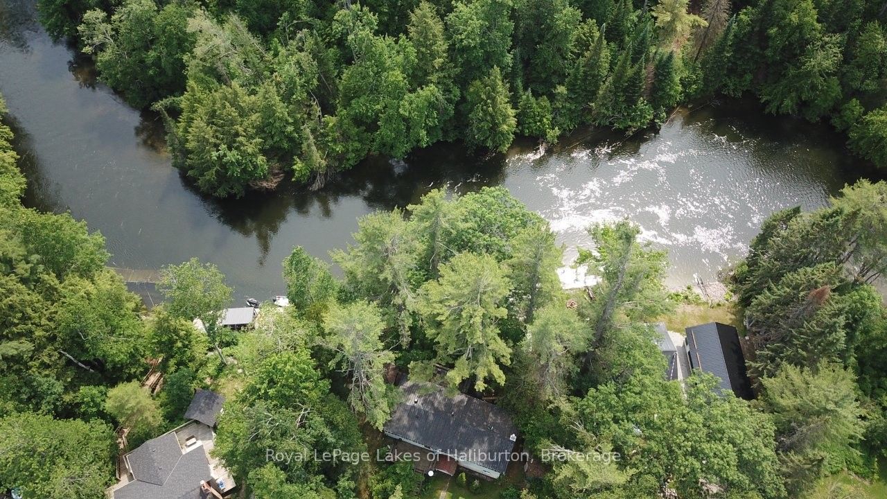 1019 Loyalist Drive Property Photo 48