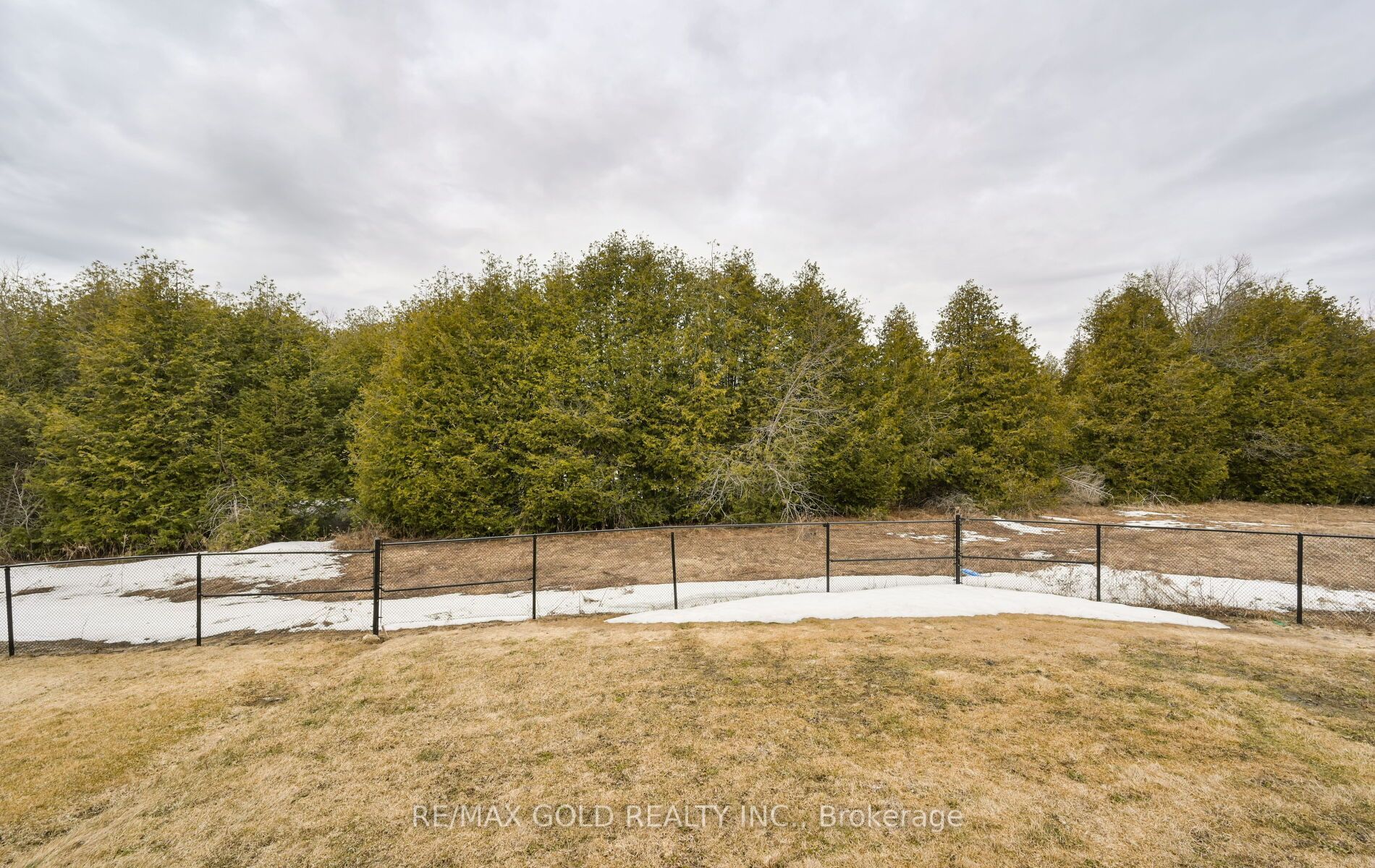 124 Limestone Lane Property Photo 43