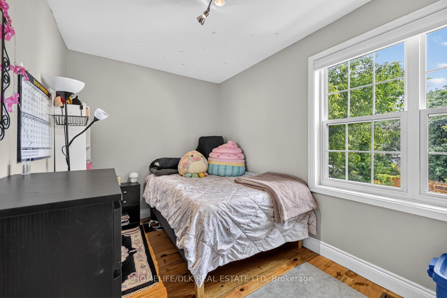 96 William Street Property Photo 27