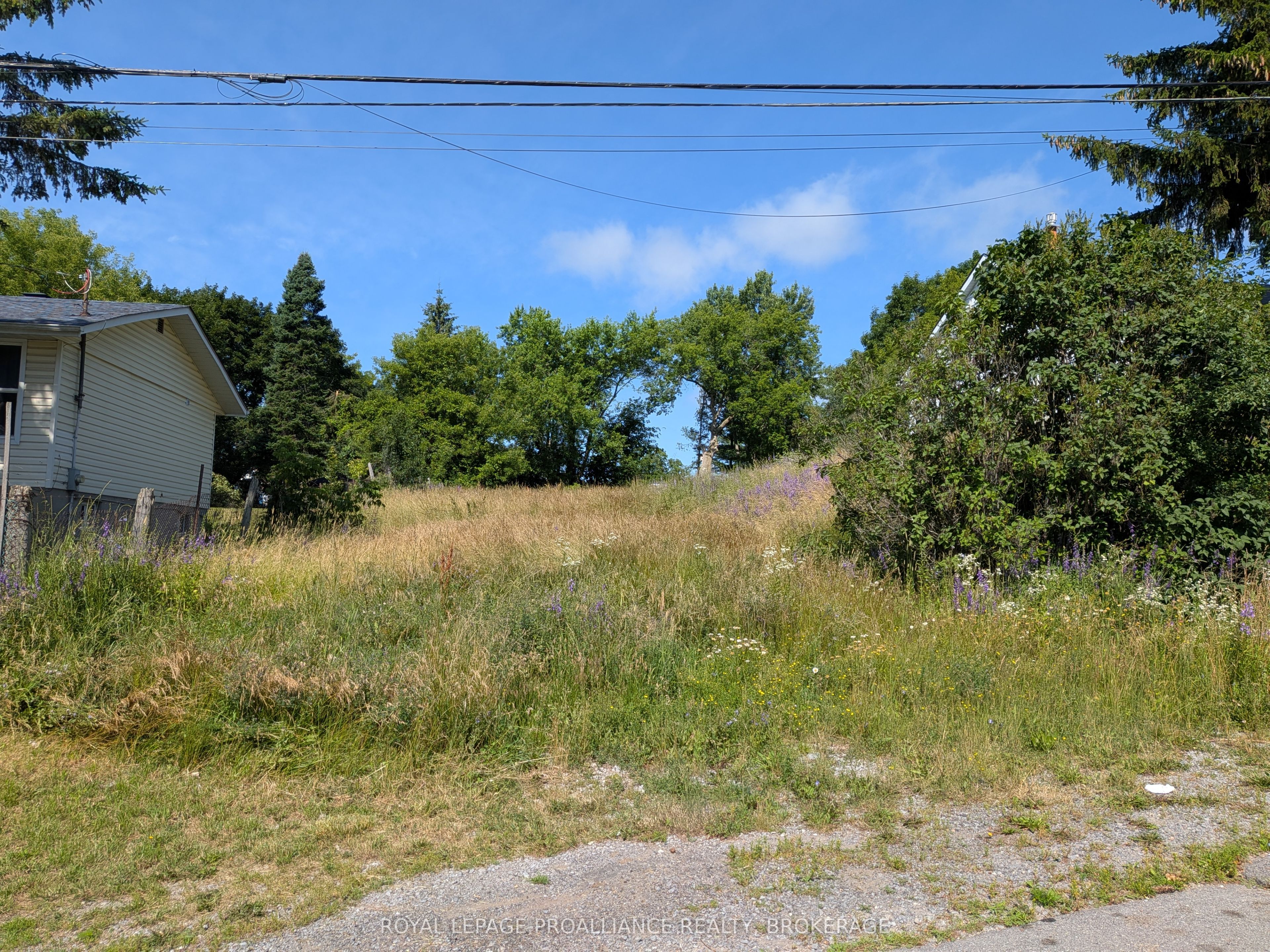 20 Shaw Street Property Photo 1