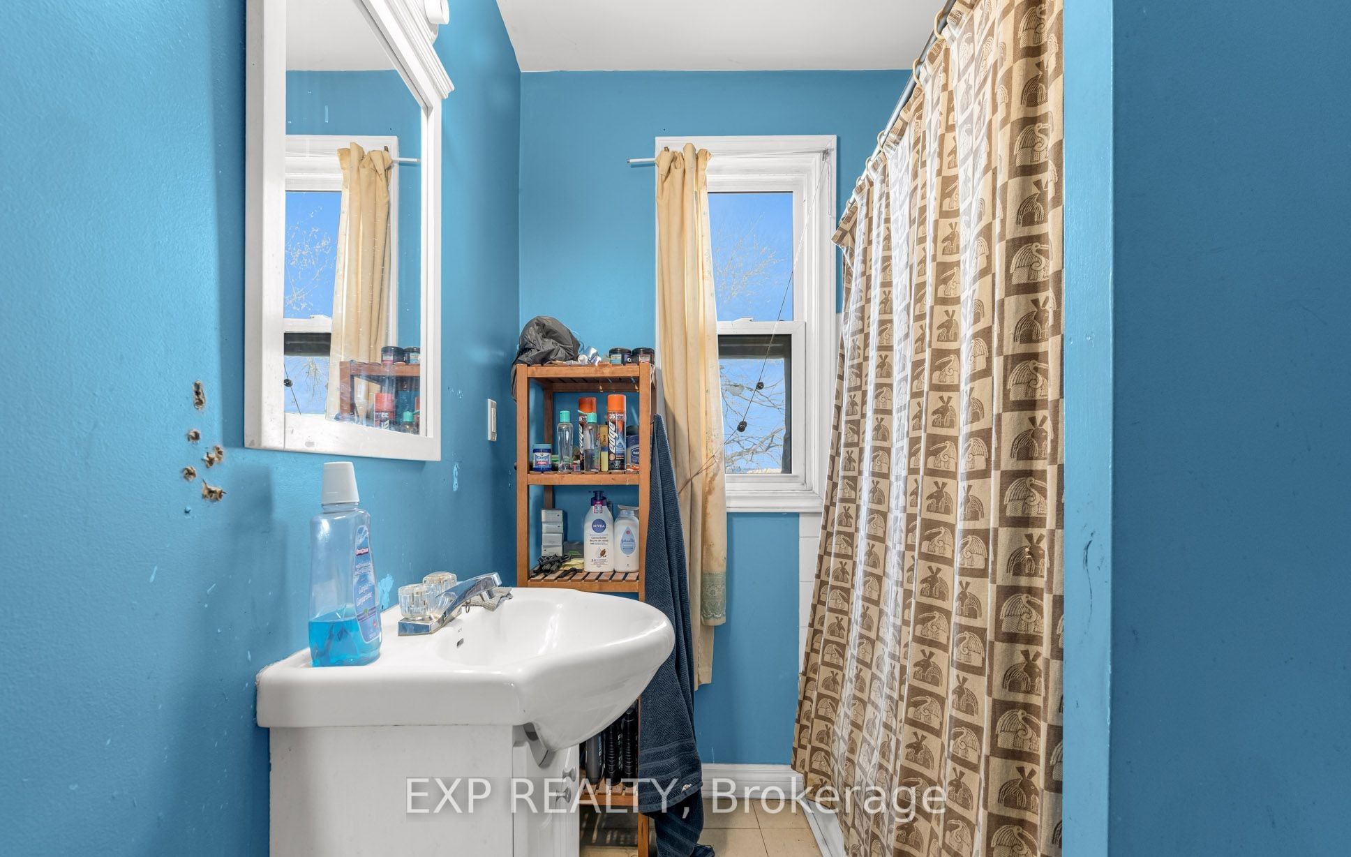 29 Gertrude Street Property Photo 13