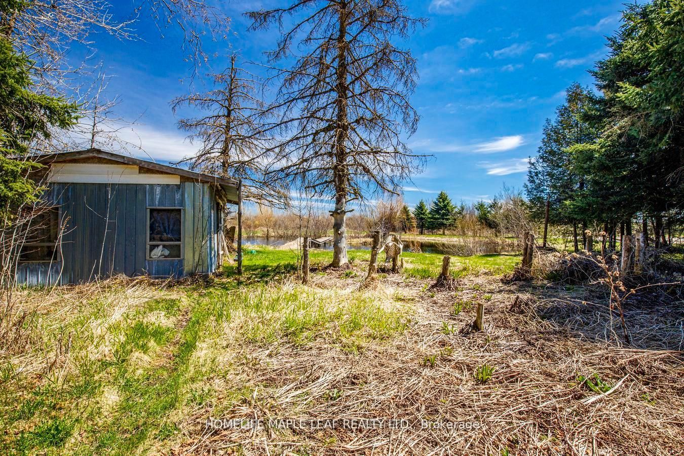 514249 2nd Line Property Photo 33
