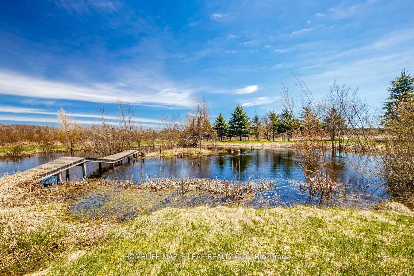514249 2nd Line Property Photo 34
