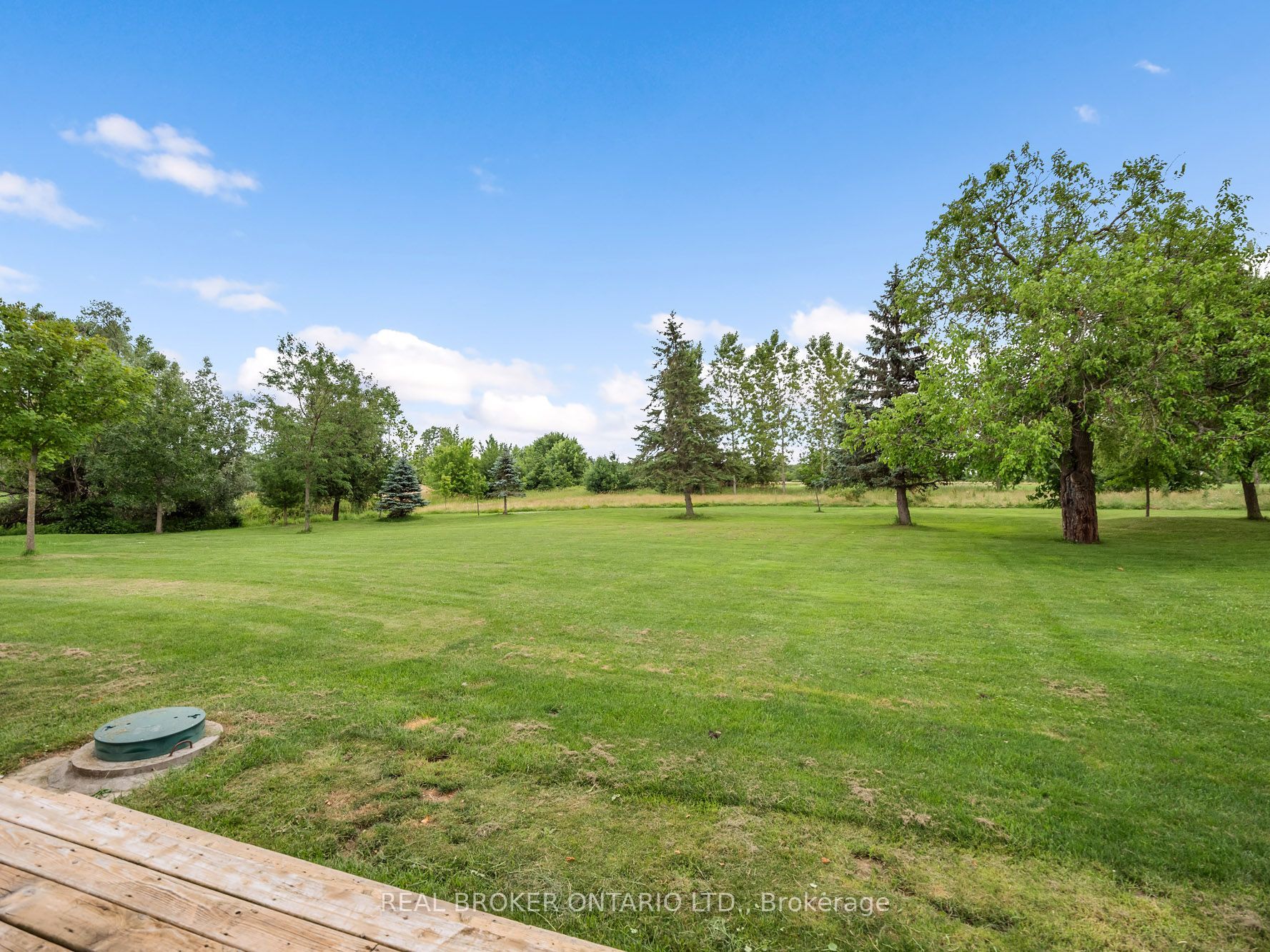118 River Road Property Photo 37