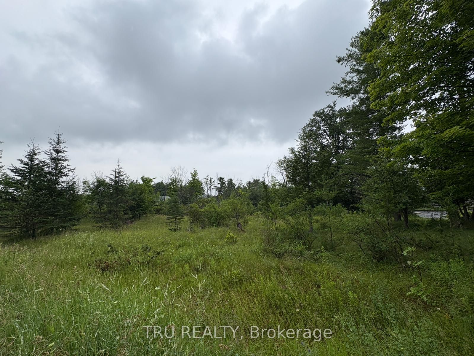 3024 Stoneridge Road Property Photo 9