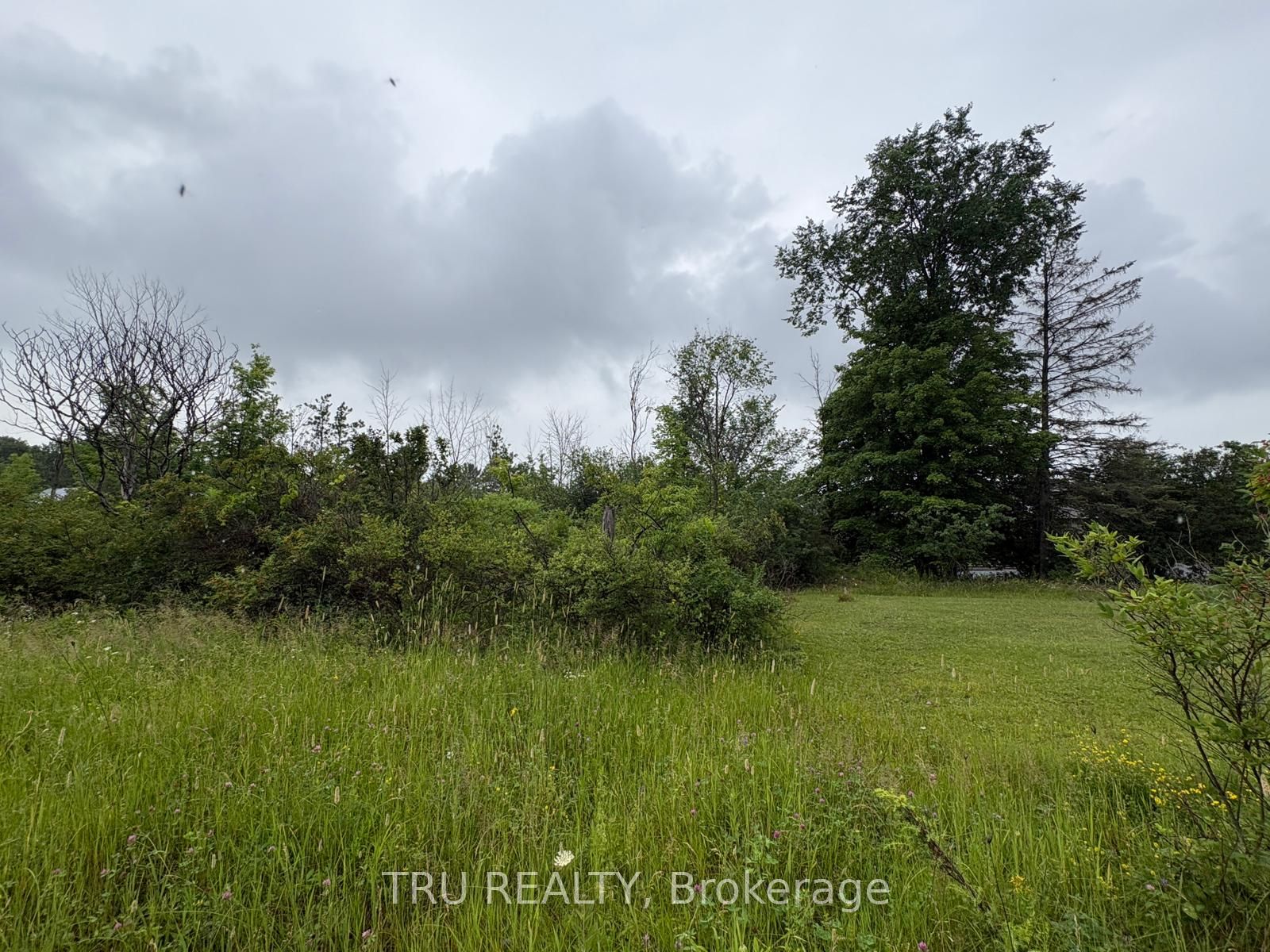3024 Stoneridge Road Property Photo 11