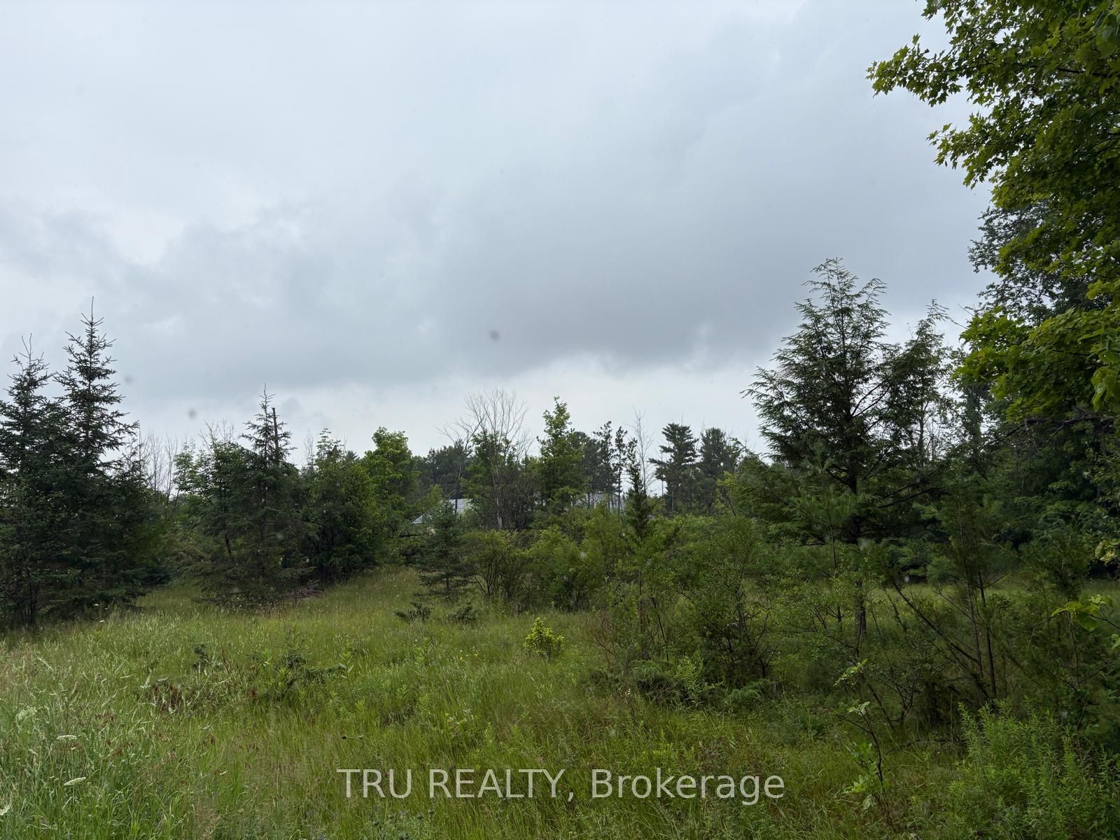 3024 Stoneridge Road Property Photo 14