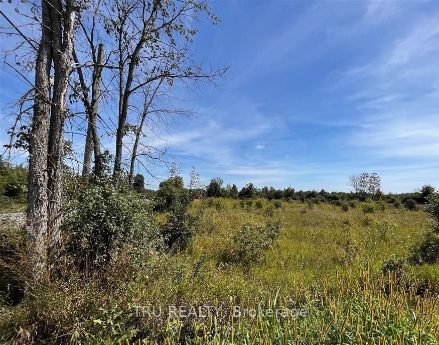394 Scotch Line Road Property Photo 6