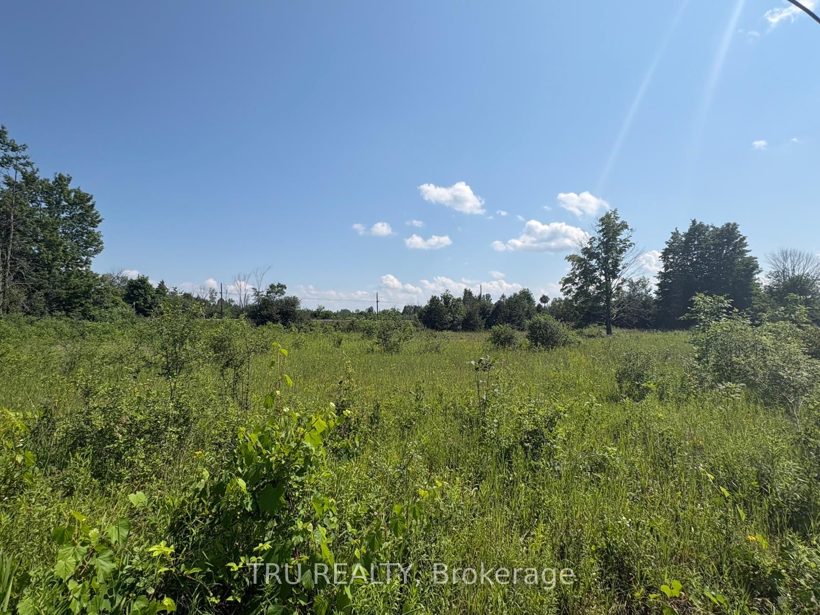 394 Scotch Line Road Property Photo 8