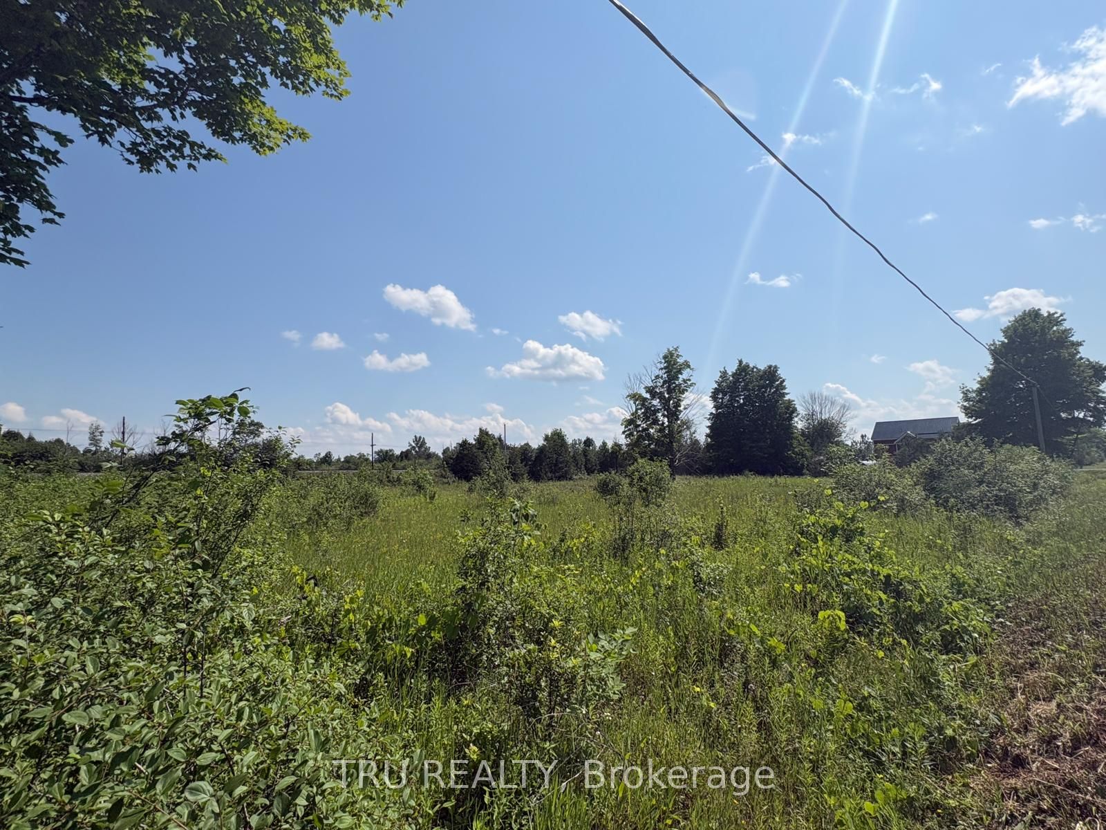 394 Scotch Line Road Property Photo 10