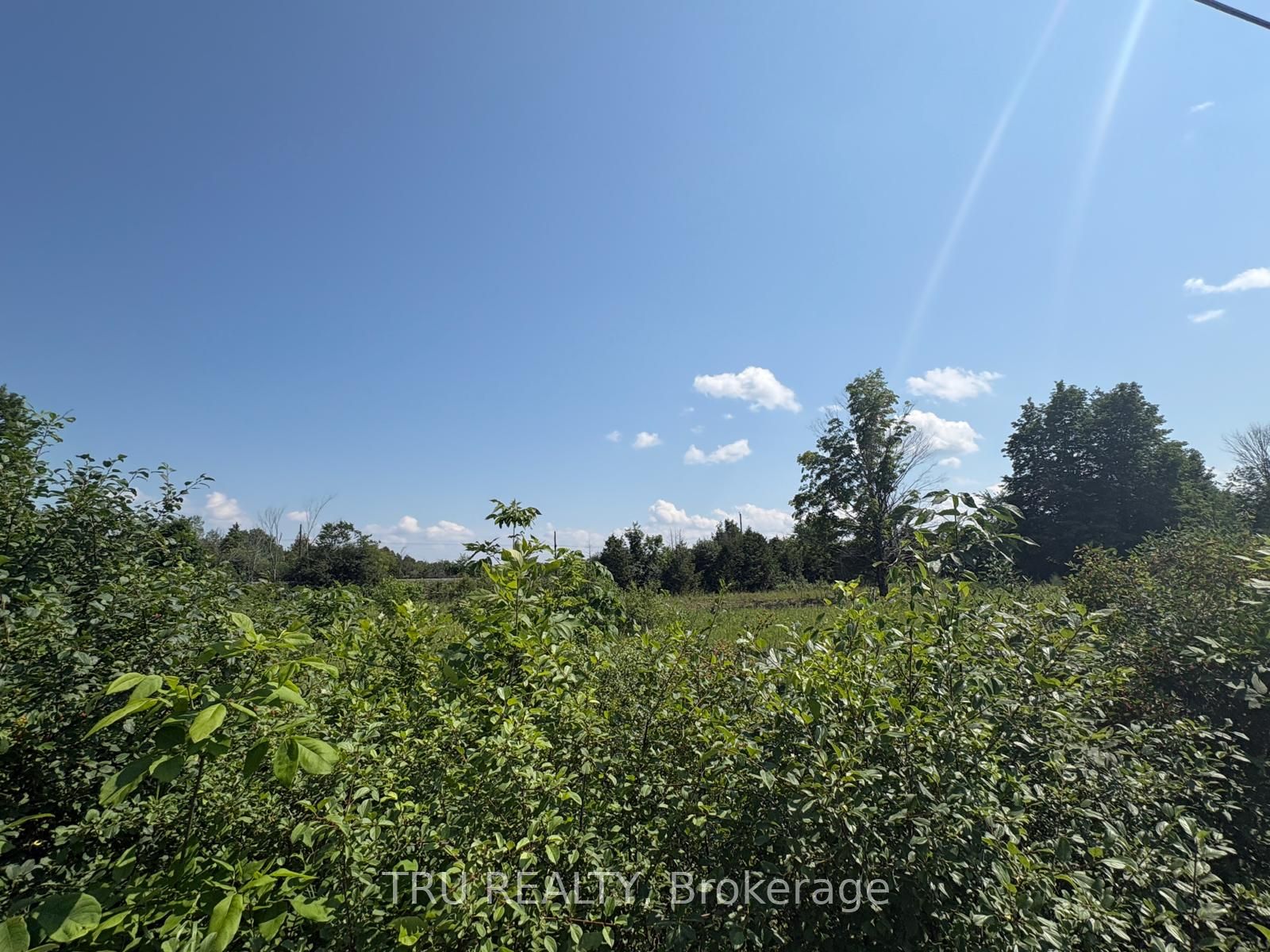 394 Scotch Line Road Property Photo 11