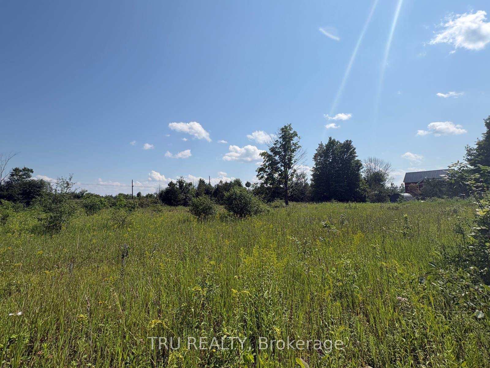 394 Scotch Line Road Property Photo 12