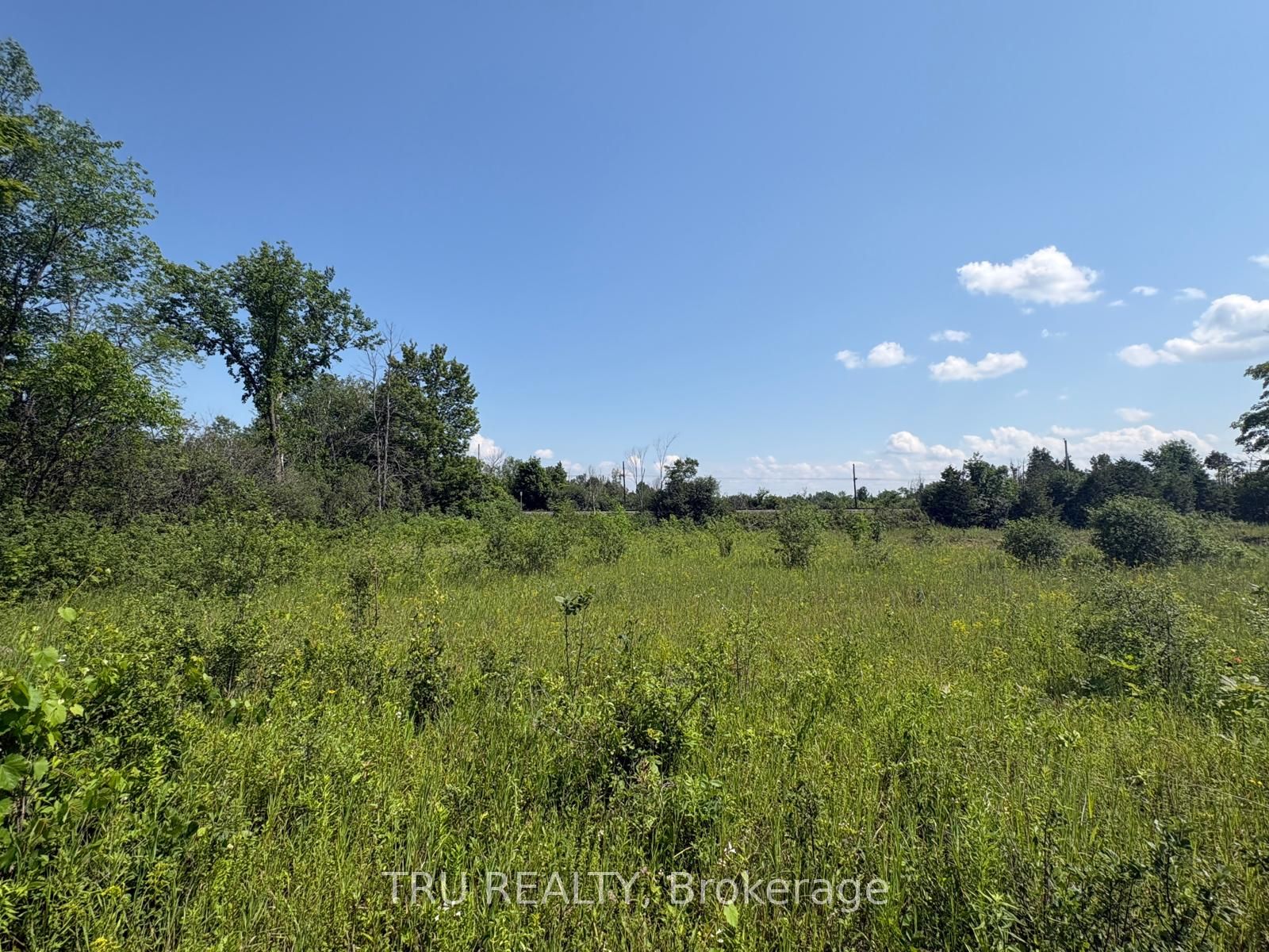 394 Scotch Line Road Property Photo 13