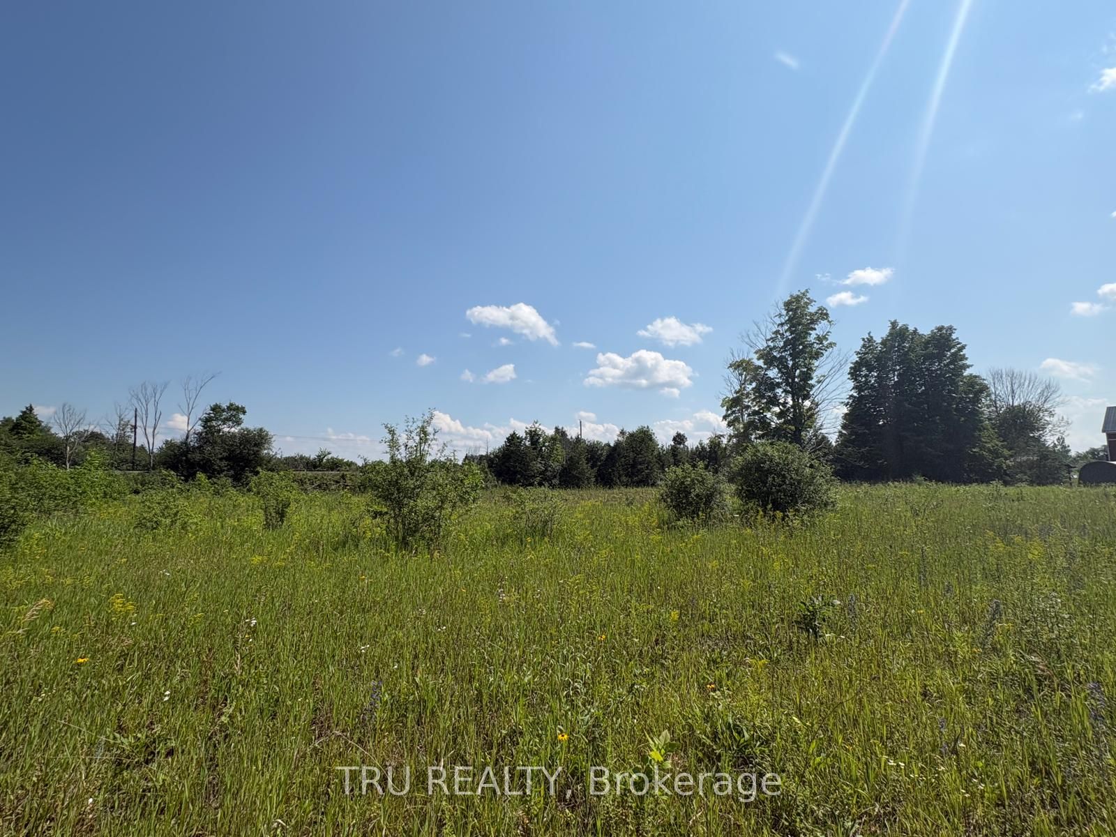 394 Scotch Line Road Property Photo 14