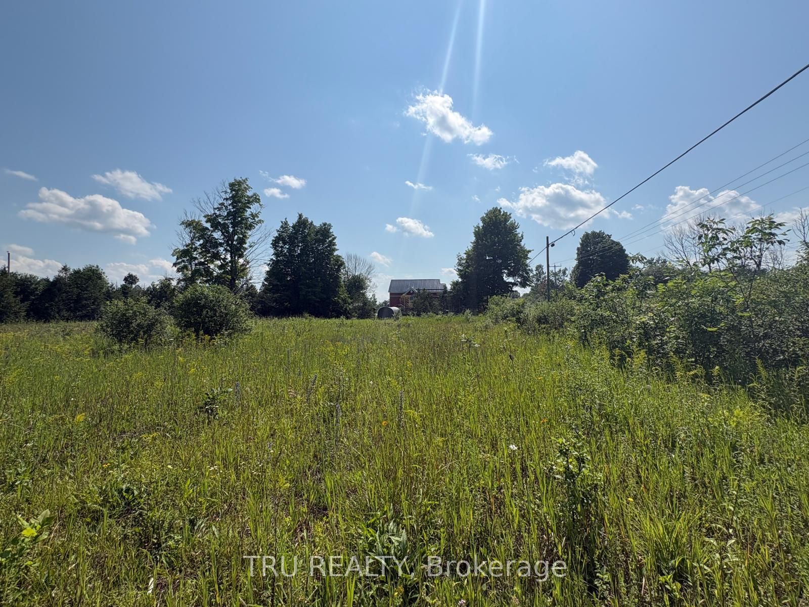 394 Scotch Line Road Property Photo 15