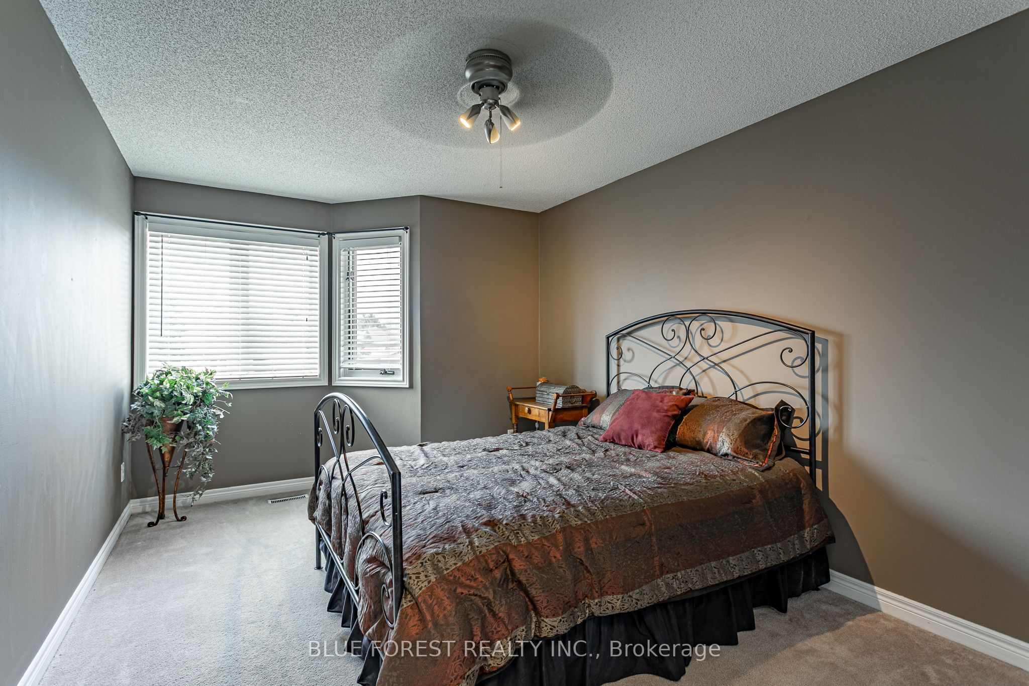 14 Eric Drive Property Photo 29
