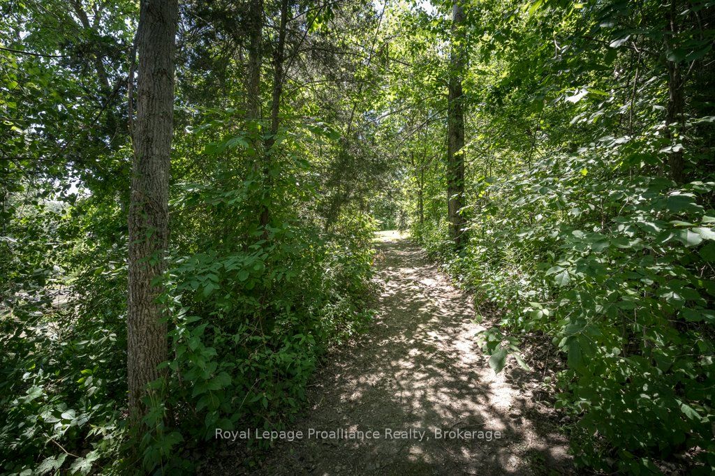 47 Windwhisper Drive Property Photo 50