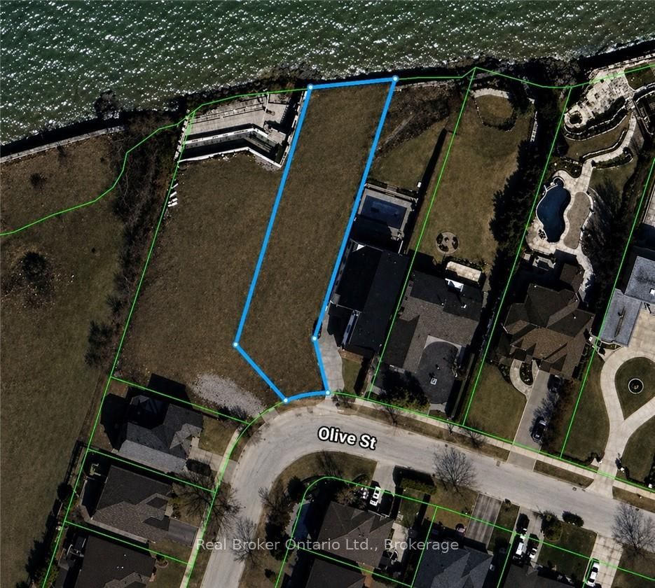 136a Olive Street Property Photo 2
