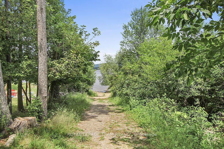 3636 Forestview Lane Property Photo 45