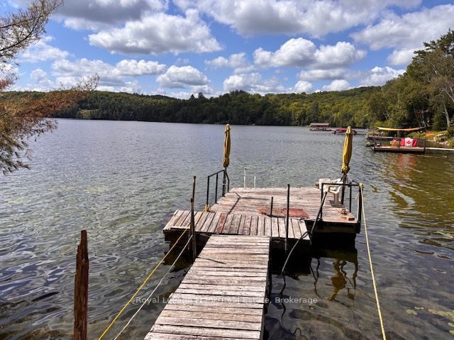 275 Faradale Drive Property Photo 20