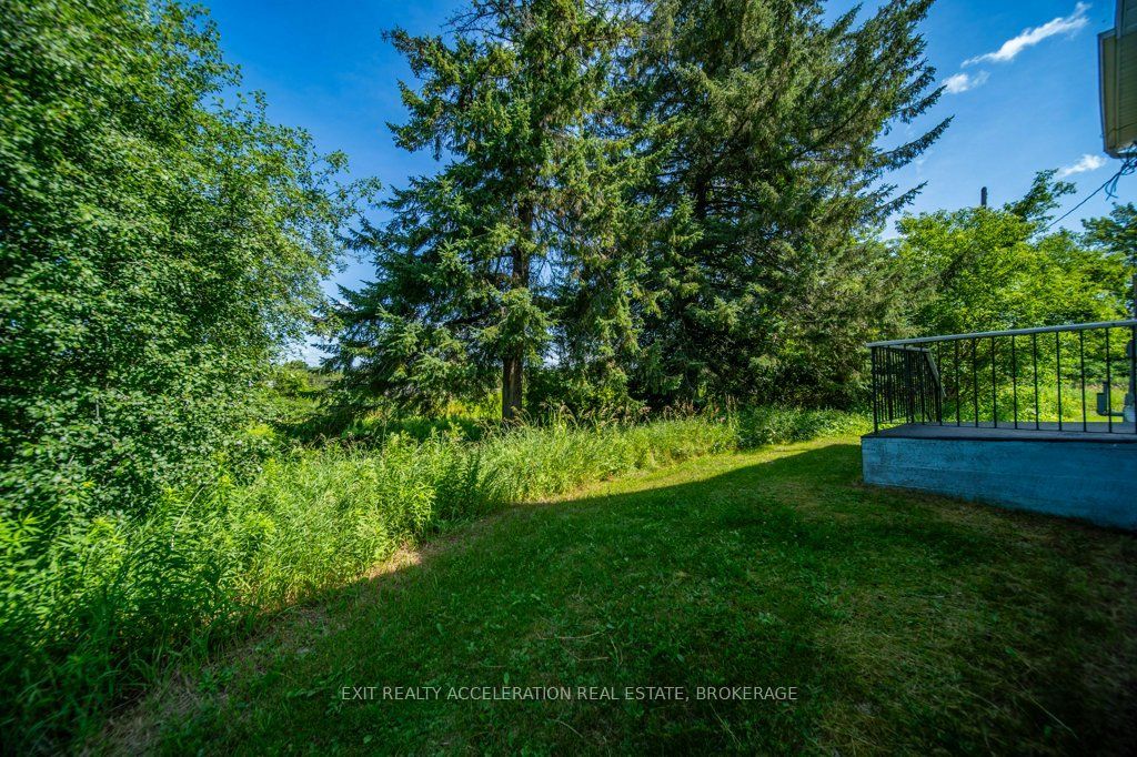 38 Fitchett Road Property Photo 42