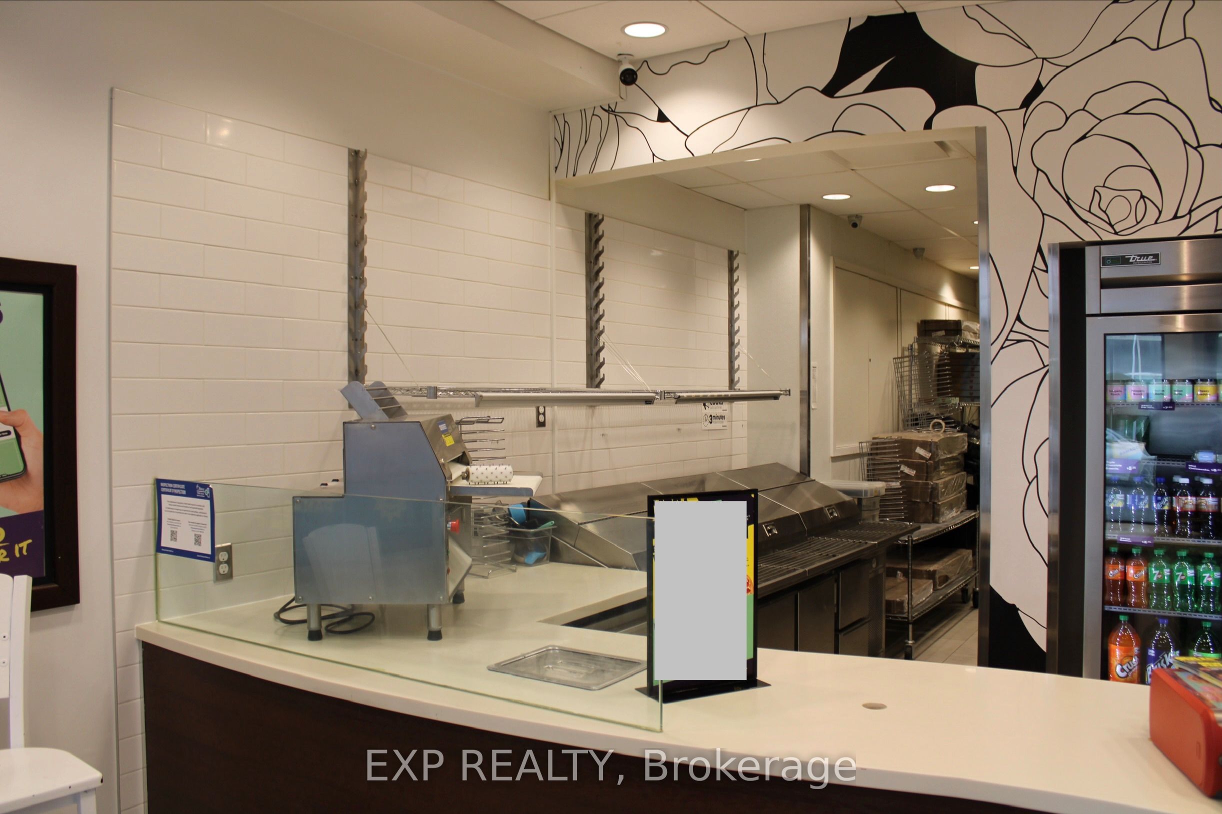458 Rideau Street Property Photo 5