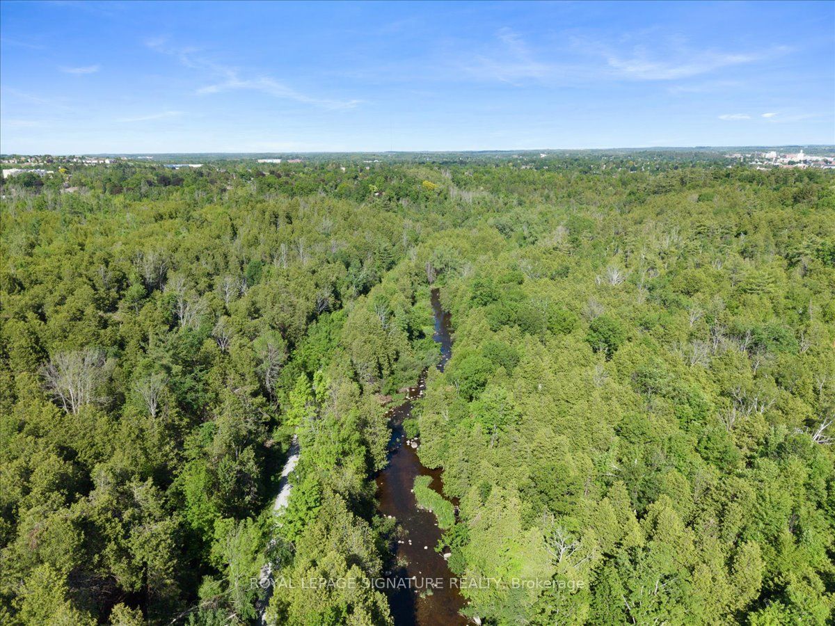 635 Lemay Grove Property Photo 49