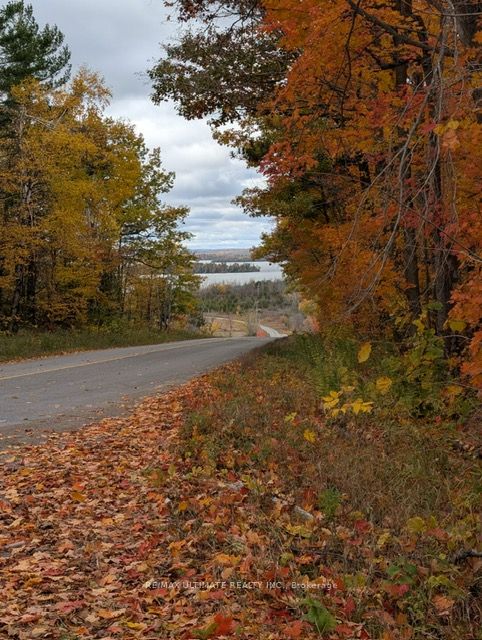 86 Rolling Banks Road 10a Property Photo 8