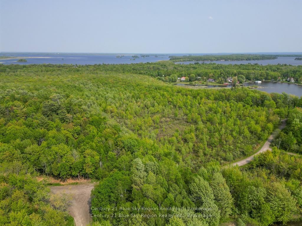 Lot 4 Riddle Road Property Photo 8