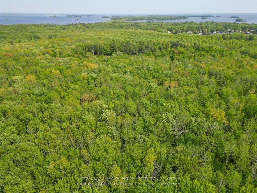Lot 3 O'brien Road Property Photo 7