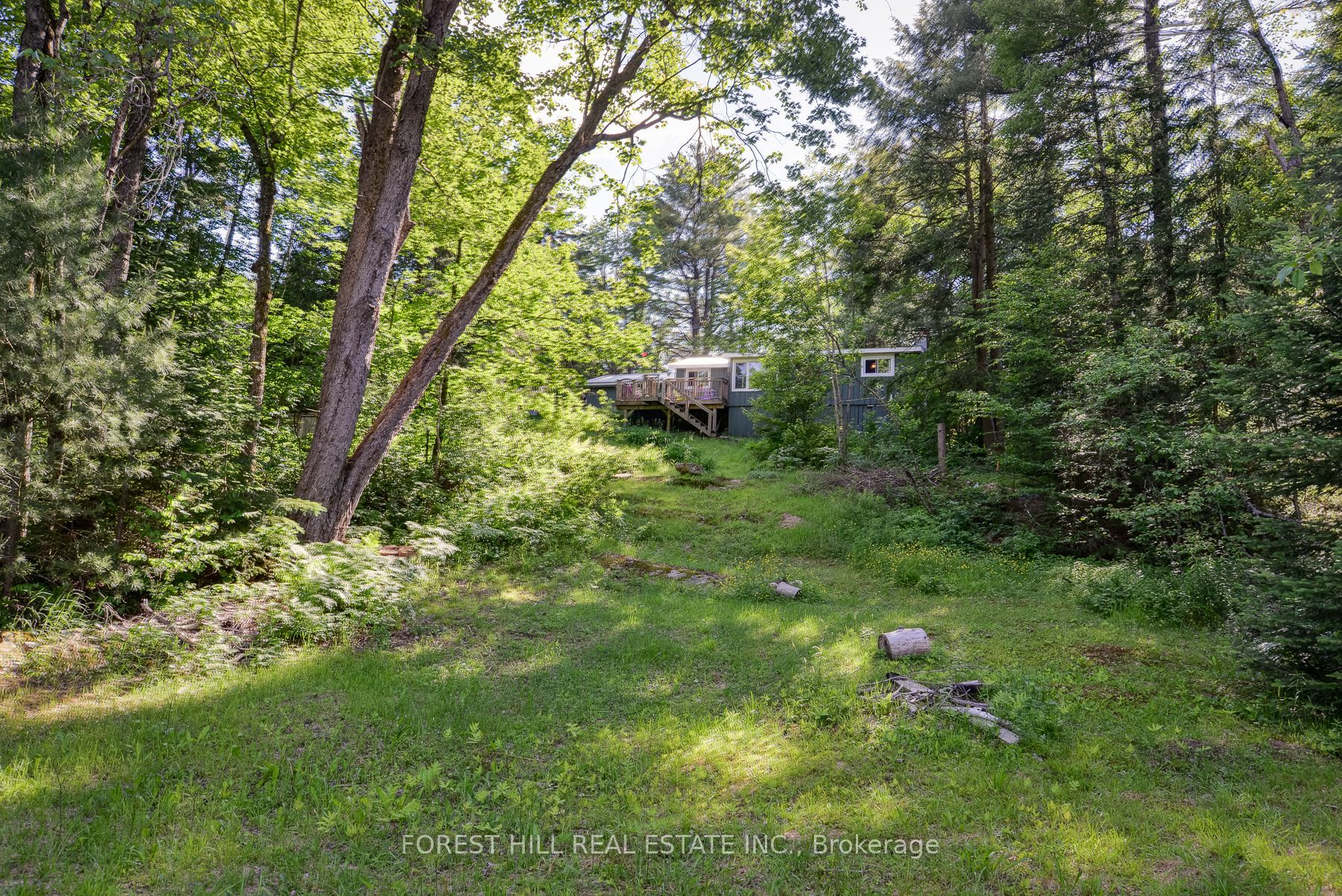 183 Bonnell Road Property Photo 29