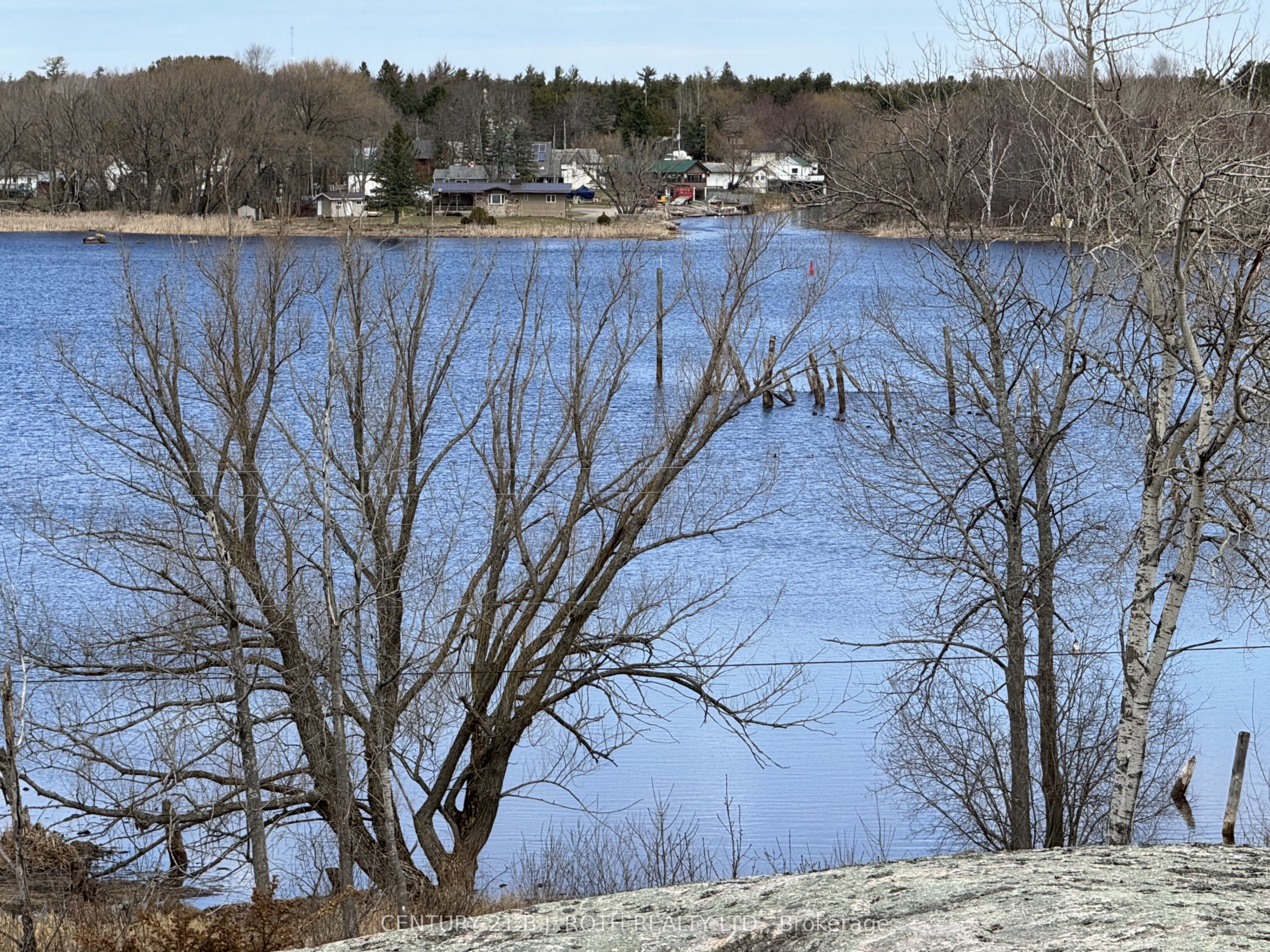 5 Rosedale Avenue Property Photo 3