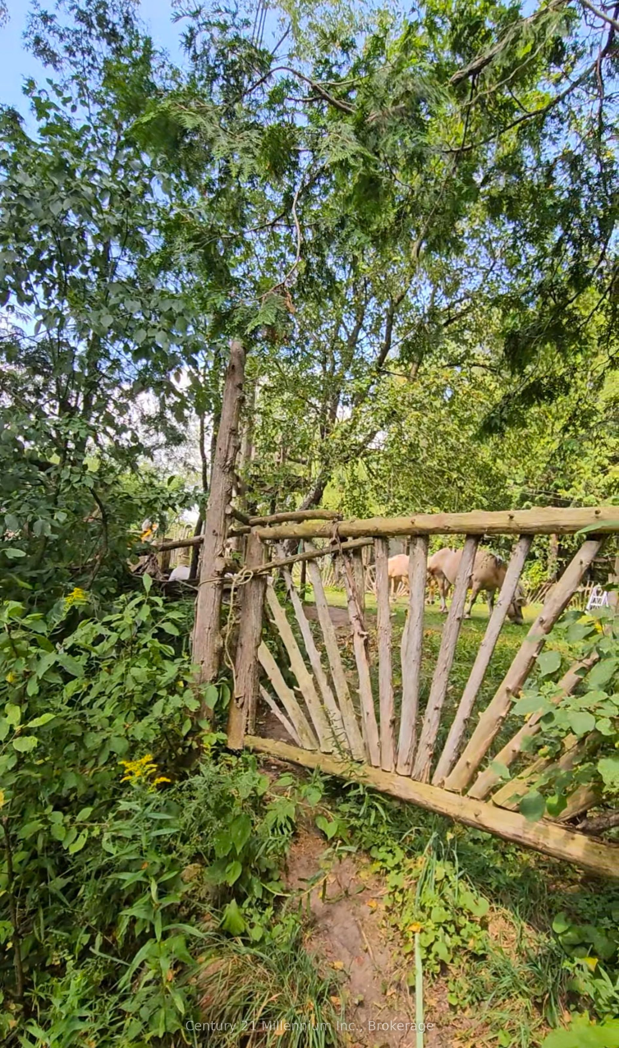 612608 Sideroad 61 Property Photo 7