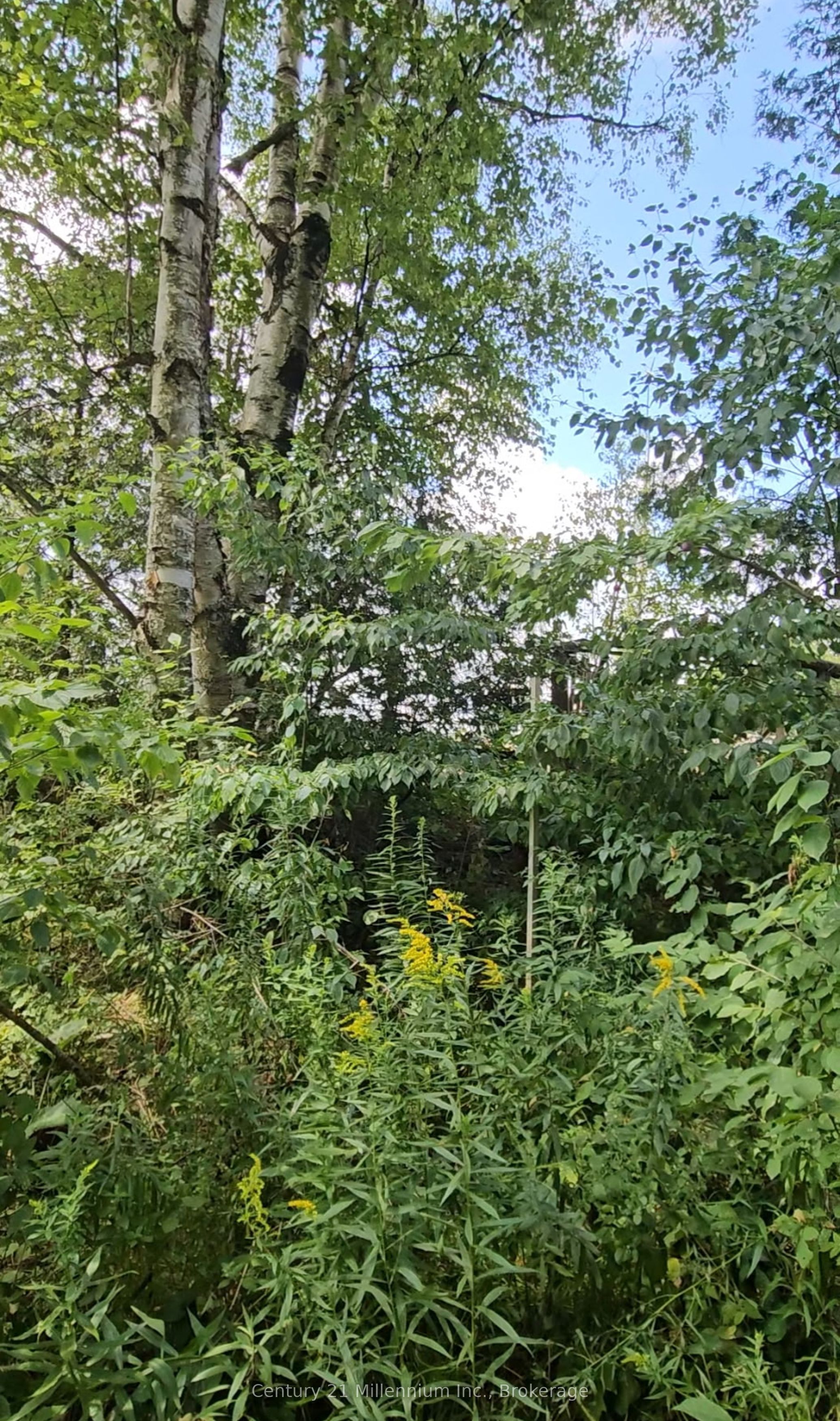612608 Sideroad 61 Property Photo 8