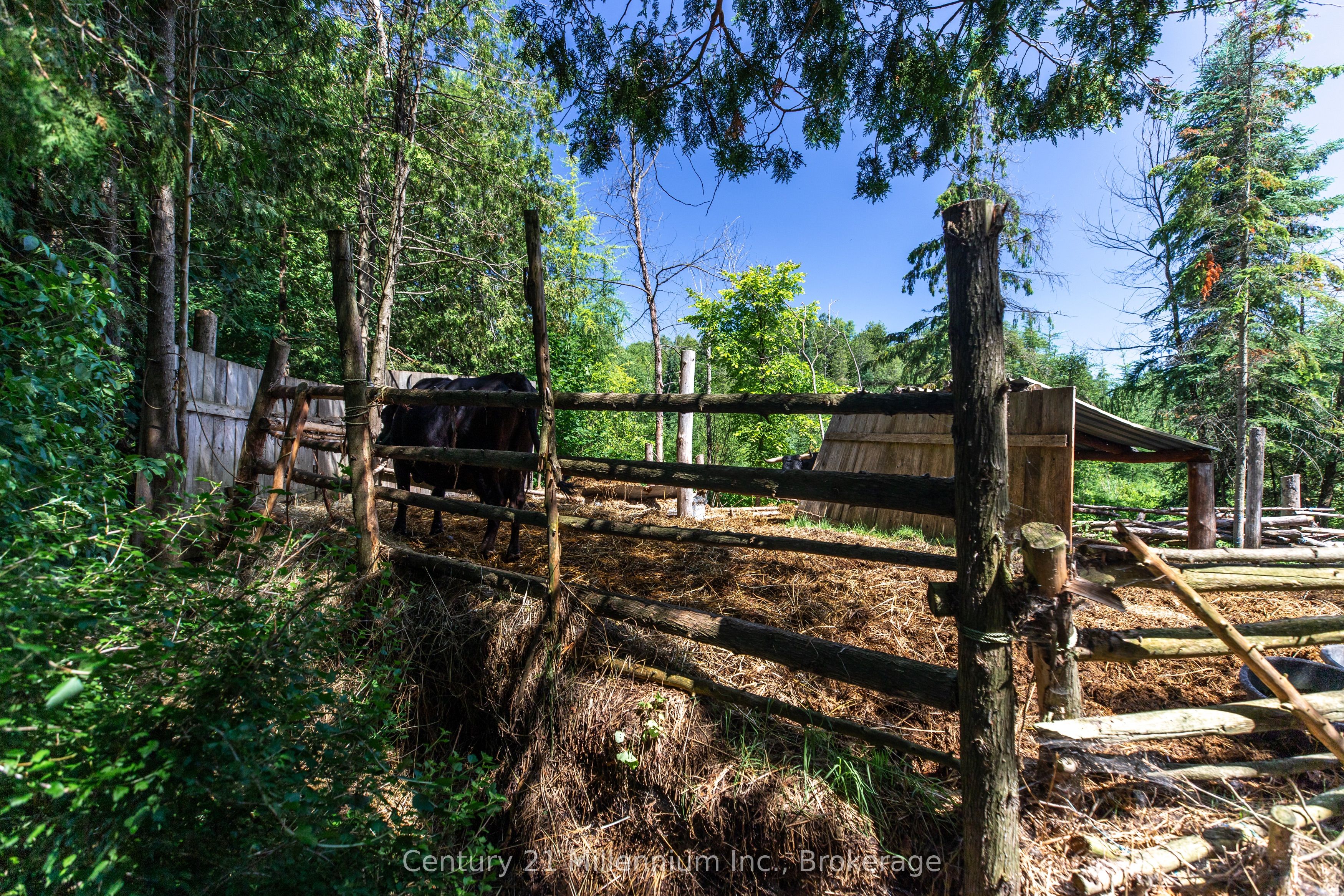 612608 Sideroad 61 Property Photo 14