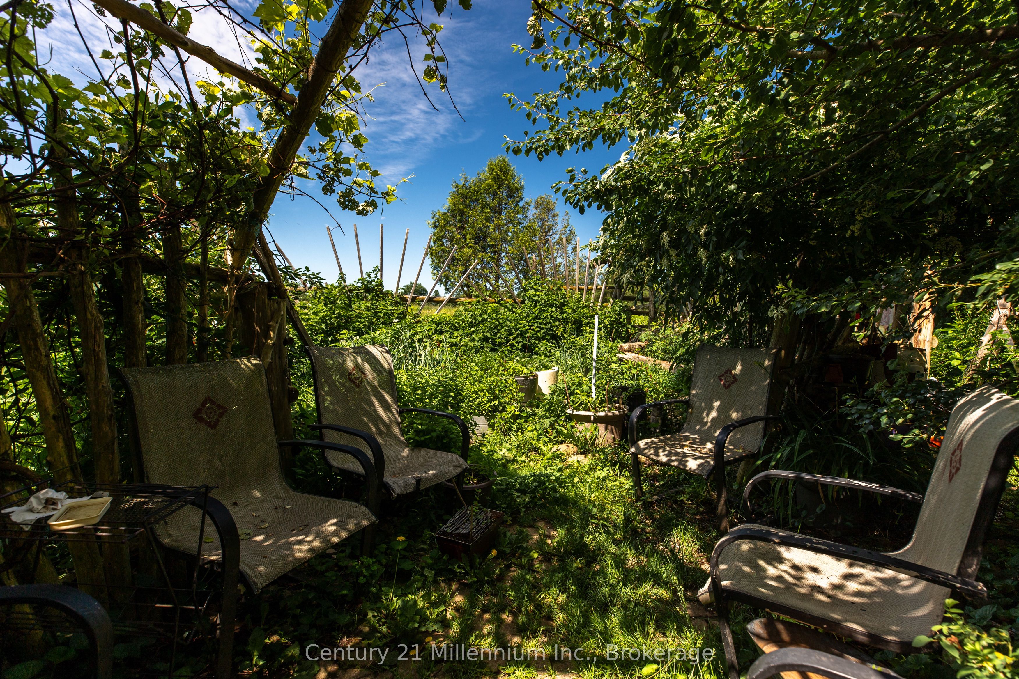 612608 Sideroad 61 Property Photo 20