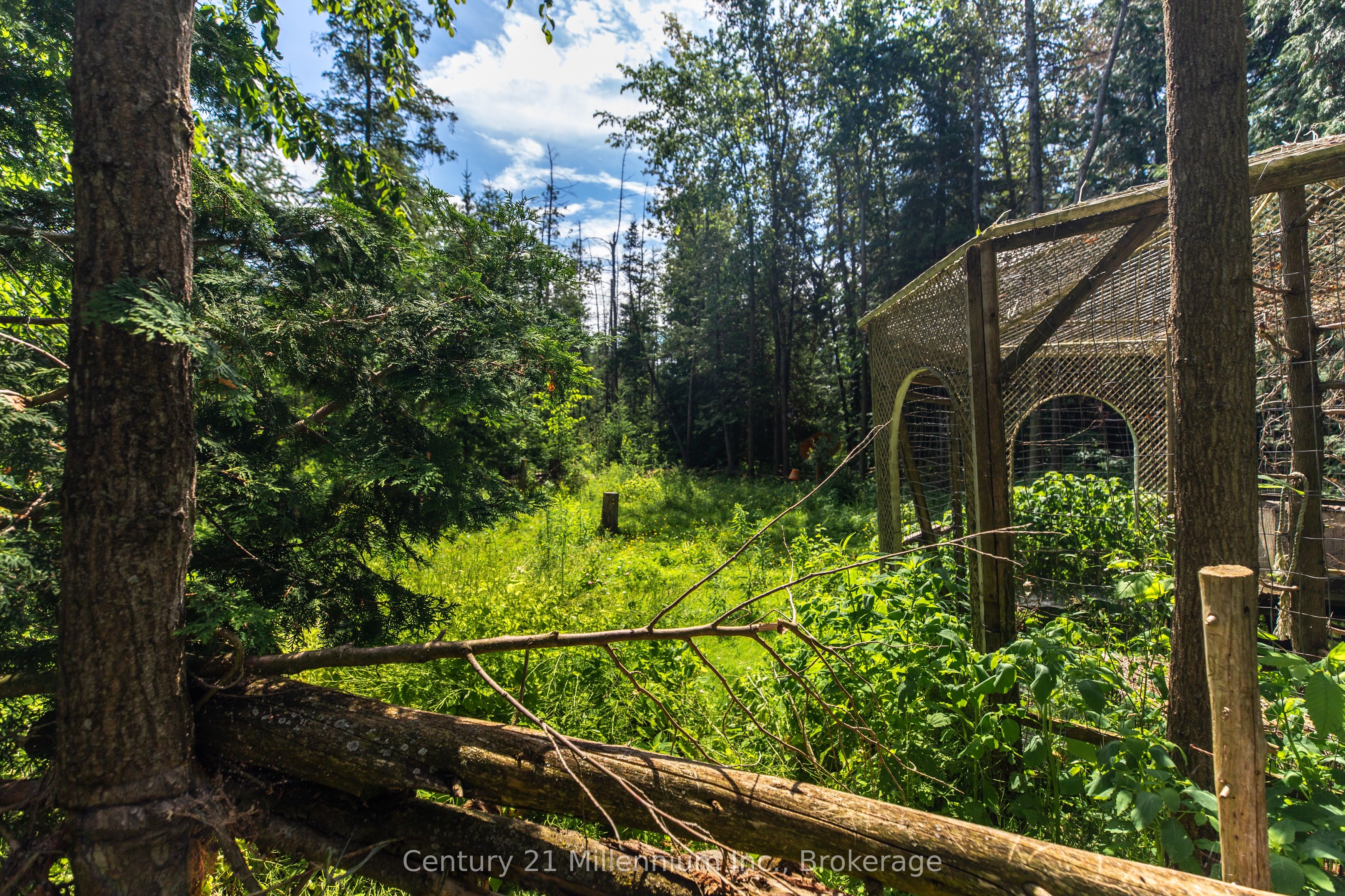612608 Sideroad 61 Property Photo 25