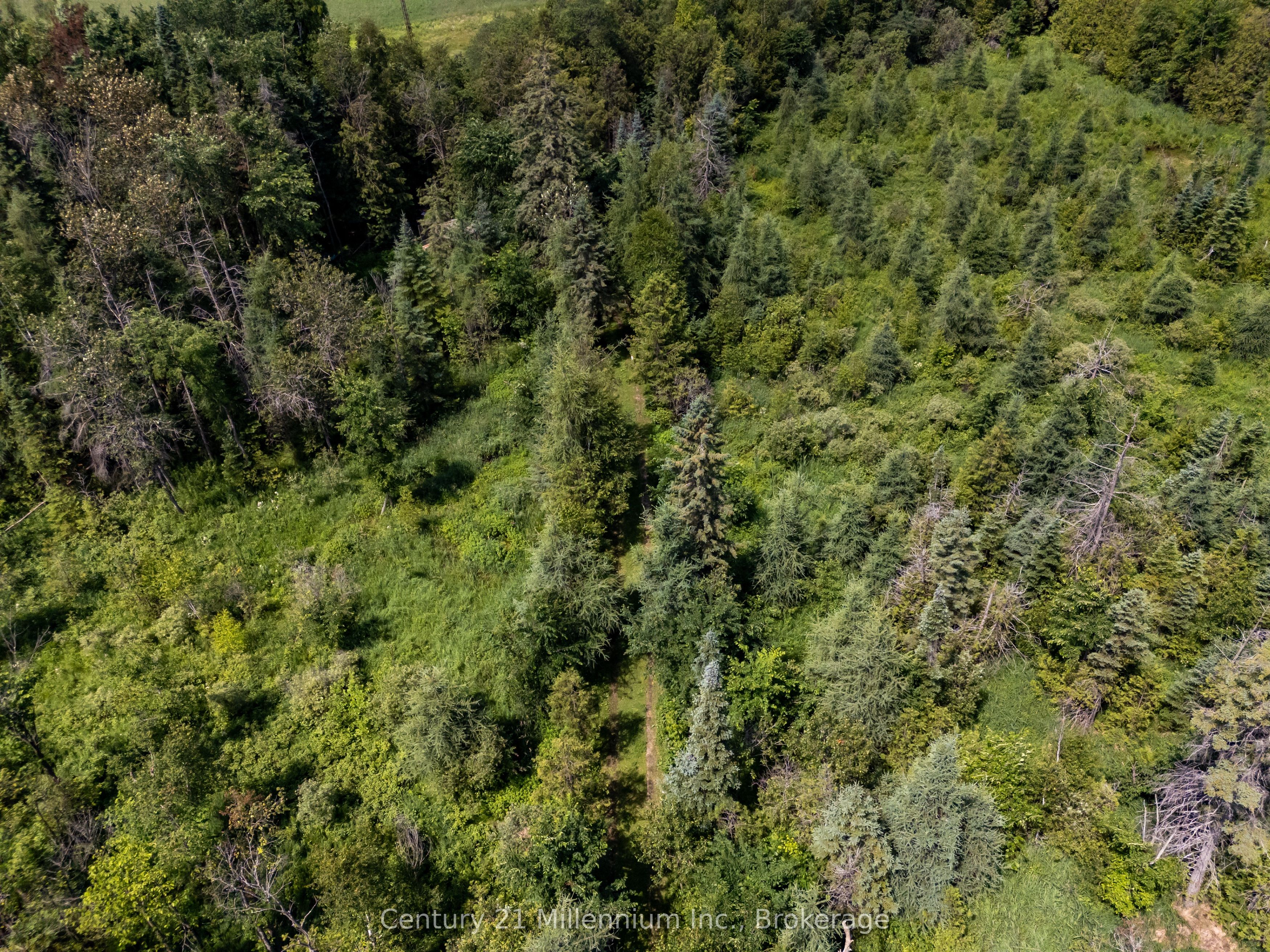 612608 Sideroad 61 Property Photo 36