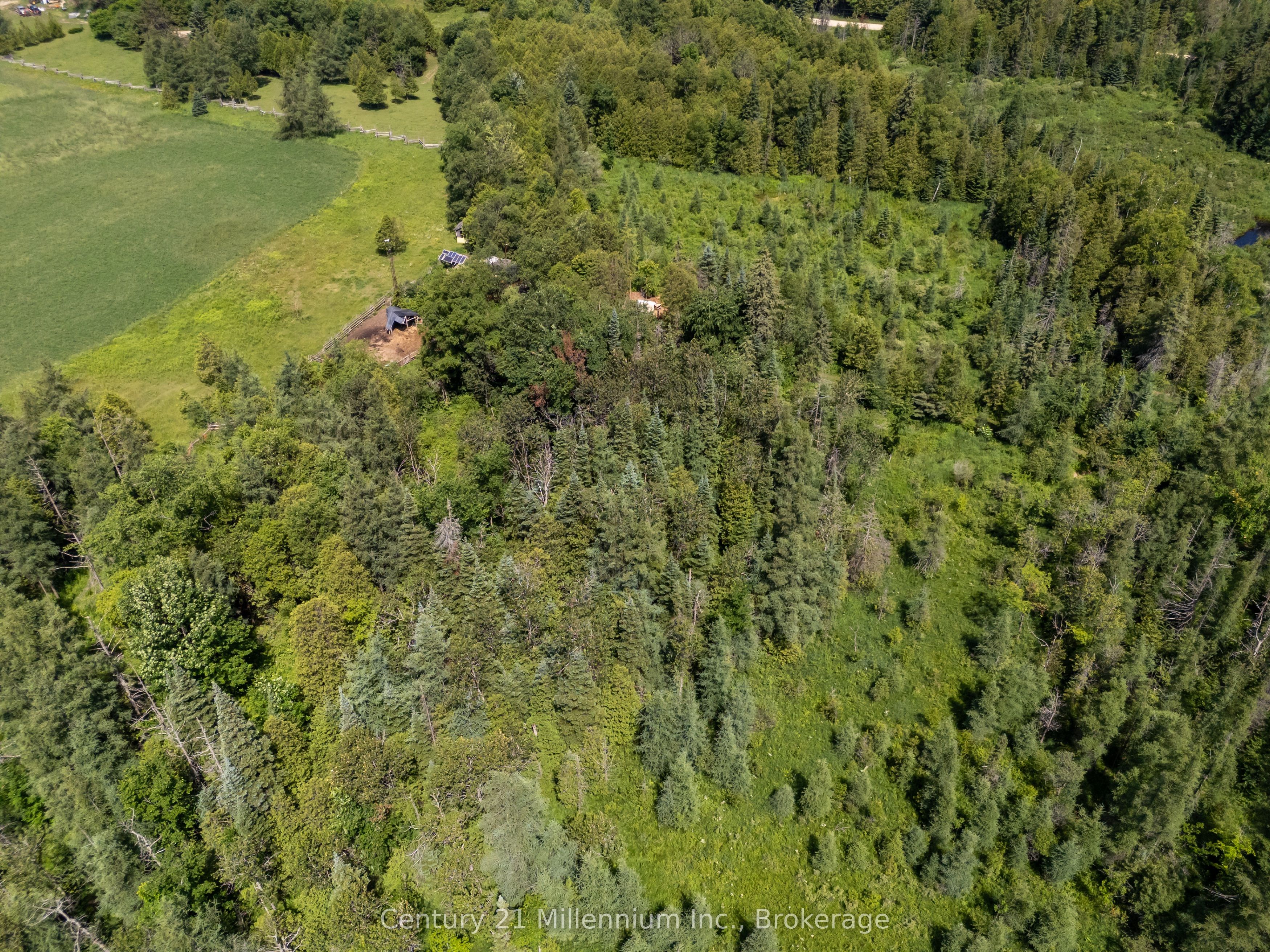 612608 Sideroad 61 Property Photo 38