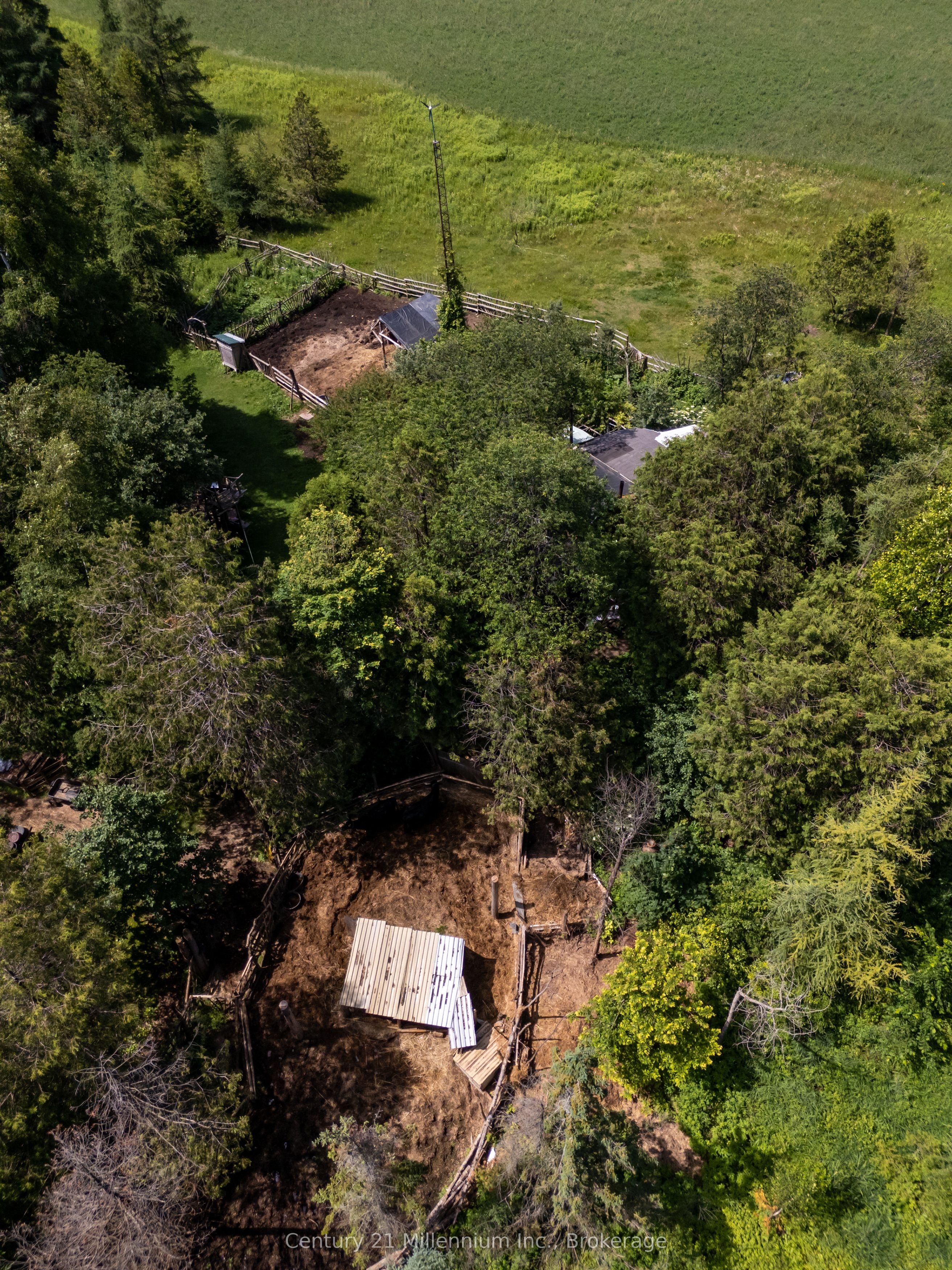 612608 Sideroad 61 Property Photo 45