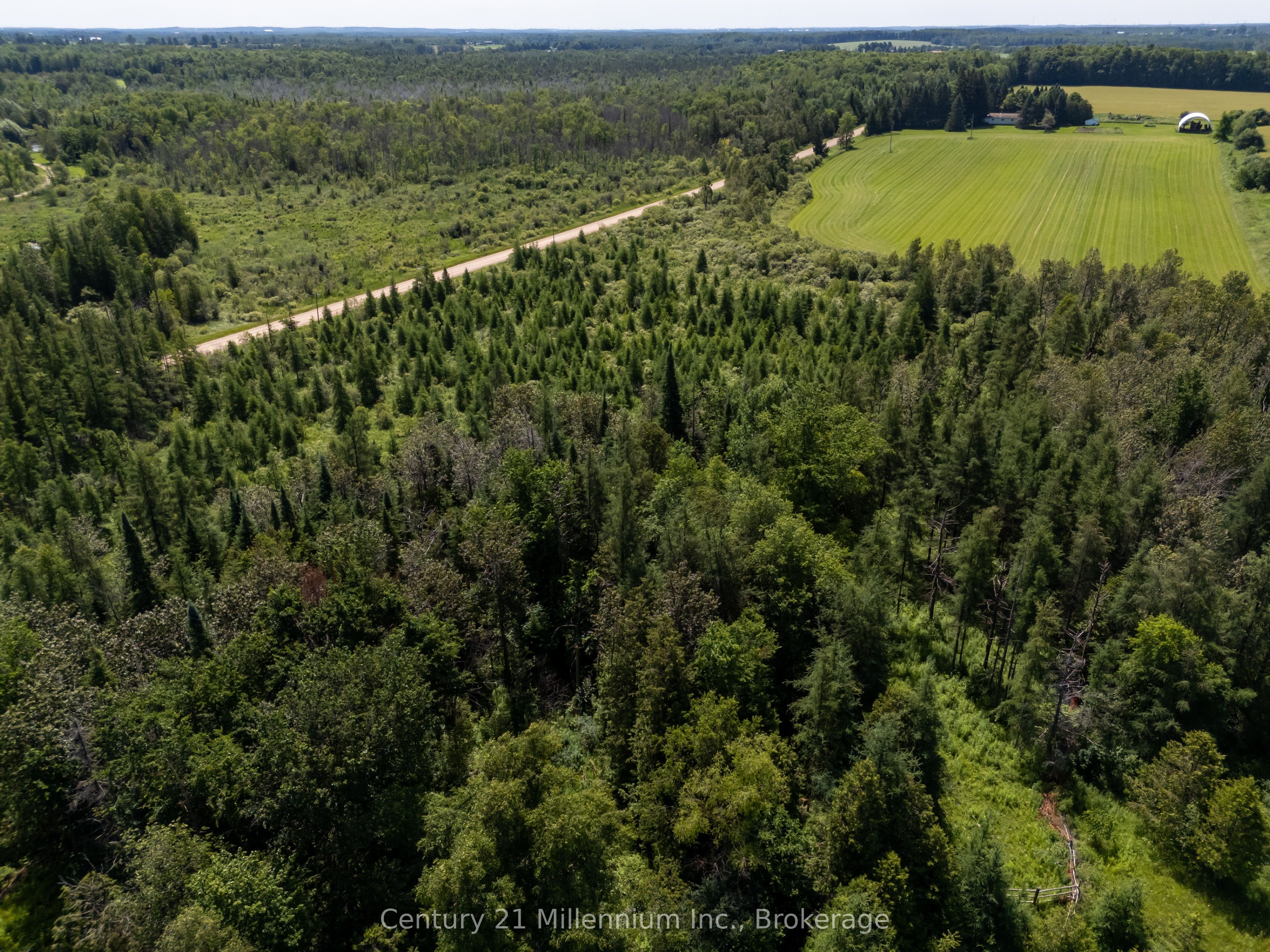 612608 Sideroad 61 Property Photo 46