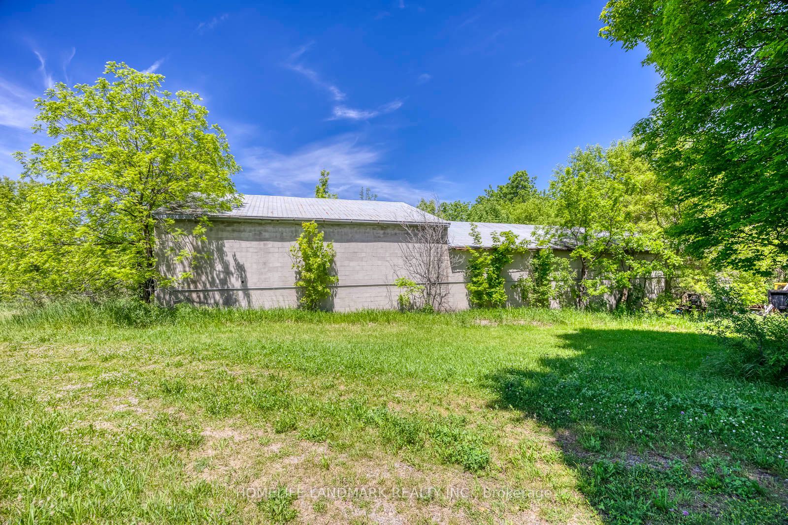 217 Carlisle Road Property Photo 21