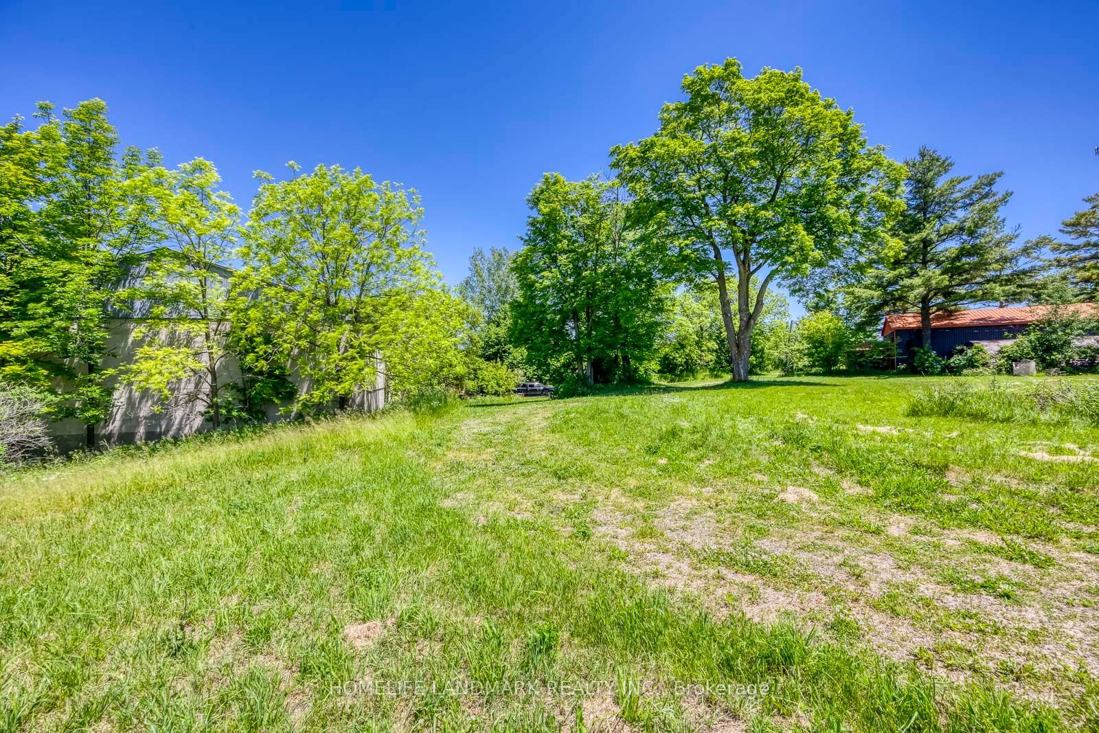 217 Carlisle Road Property Photo 25