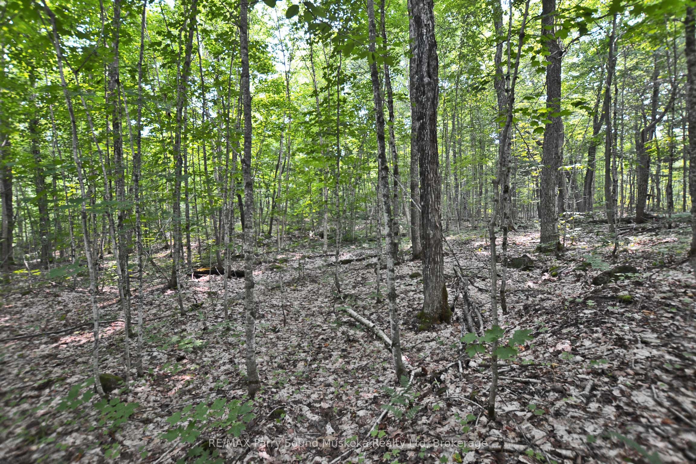 0 Lyndsey Lane Part 2 Property Photo 1