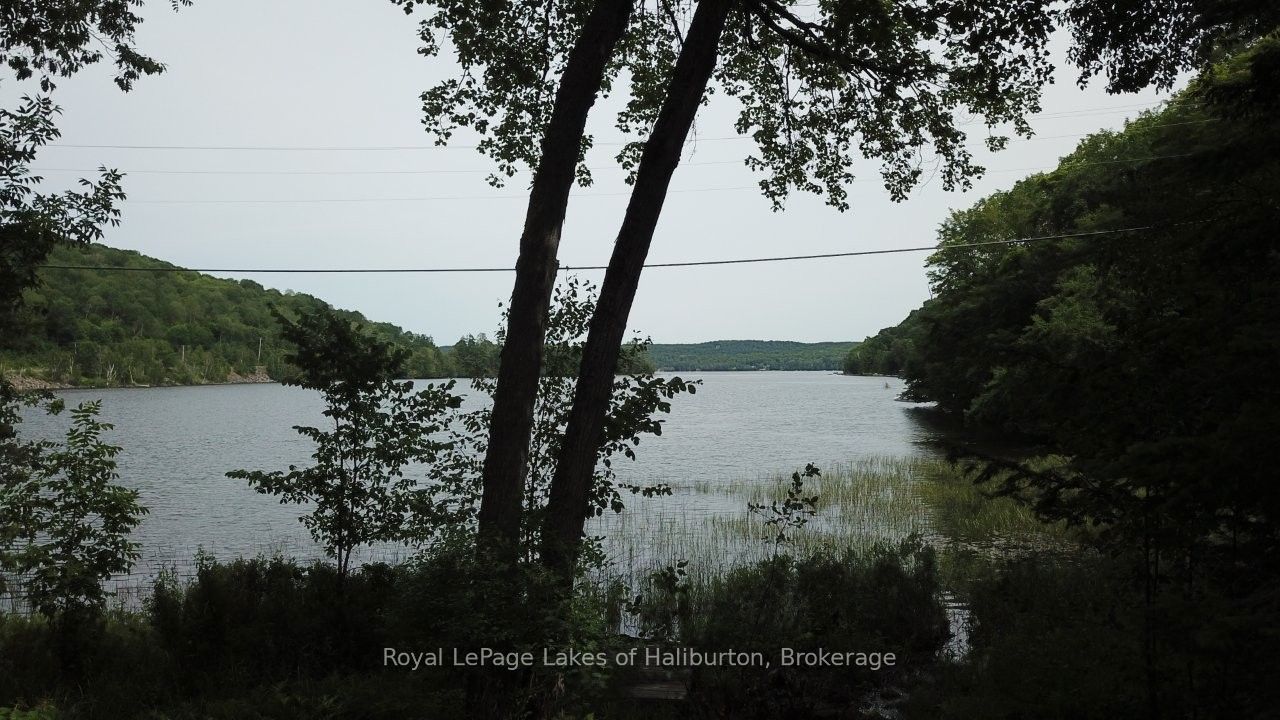 3040 Haliburton Lake Road Property Photo 32
