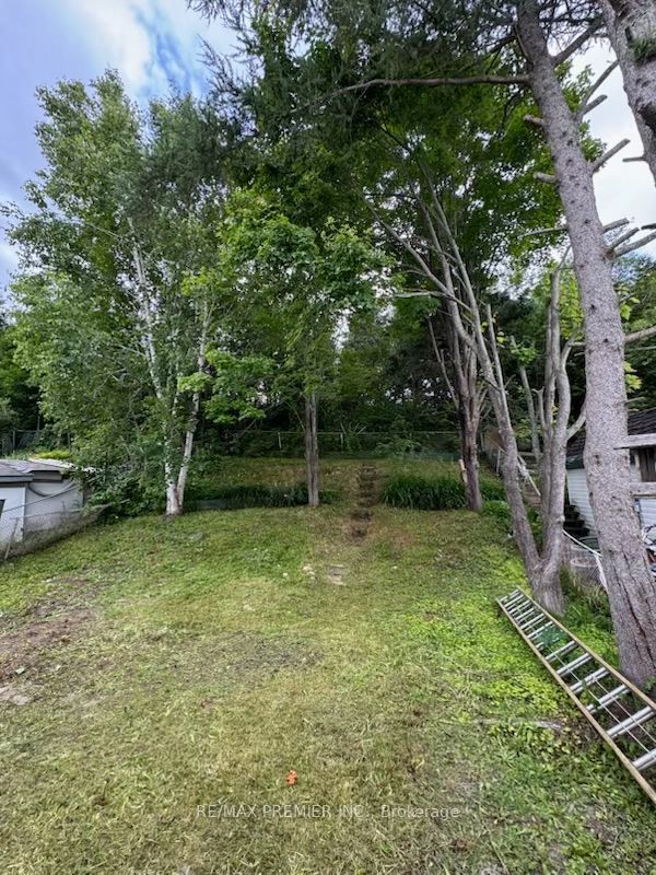 26 Hergott Avenue Property Photo 25